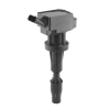 BorgWarner (BERU) gyújtótekercs ZSE262