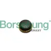 Borsehung szita, olajszivattyú-szívócső B11897