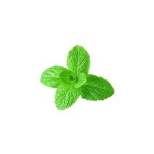  Borsmenta levél gyógytea