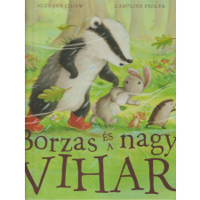  Borzas és a nagy vihar antikvárium - használt könyv