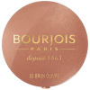 Bourjois Blush 03 Brun Cuivre 2,5 g (3614225613296)