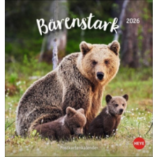  Bärenstark Postkartenkalender 2026 naptár, kalendárium