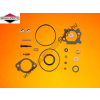 Briggs & Stratton Karburátor javító készlet Briggs 498260