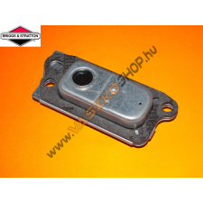 Briggs & Stratton Szelepfedél Briggs 590395 barkácsgép tartozék