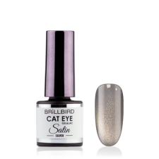BrillBird - CAT EYE SATIN - Silver - 4ml - THF lakk zselé