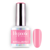 BrillBird - Hypnotic Gel&amp;Lac - HEMA Free - 70 - 4ml