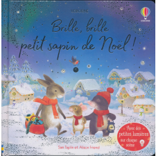 BRILLE, BRILLE PETIT SAPIN DE NOEL gyermek- és ifjúsági könyv