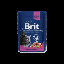 Brit Premium Cat Pouches Norwegian Salmon & Trout 24x100 G macskaeledel