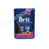 Brit Premium Cat Salmon &amp; Trout