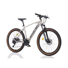 Broster Rangver 29er könnyűvázas MTB kerékpár 19" Szürke mtb kerékpár