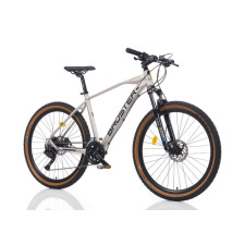 Broster Rangver 29er könnyűvázas MTB kerékpár 19" Szürke mtb kerékpár