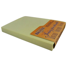 Brotex Jersey prostěradlo citrus, 200 × 200 cm lakástextília