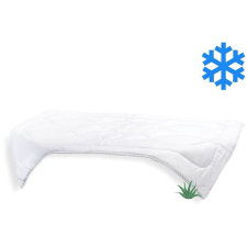 Brotex Prodloužená přikrývka Aloe Vera 140 × 220 cm zimní 1430 g lakástextília