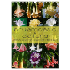  Brugmansia & Datura - Exotische Schönheiten (Wandkalender 2024 DIN A3 hoch), CALVENDO Monatskalender naptár, kalendárium