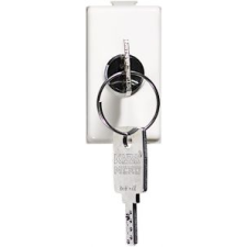 Bticino MATIX Kulcsos váltókapcsoló 10A AM5007D  - Bticino hűtés, fűtés szerelvény