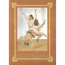 Budapest Dévajságok antikvárium - használt könyv