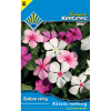 BUDAPESTI KERTIMAG BALKON VIRÁG RÓZSÁS METÉNG SZÍNKEVERÉK