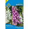 BUDAPESTI KERTIMAG VÁGOTT VIRÁG GYŰSZŰVIRÁG SZÍNKEVERÉK