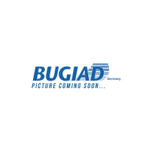 BUGIAD tengelycsonk, kerékfelfüggesztés BUGIAD BSP25163Prokit autóalkatrész