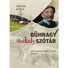 Bühnagy székely szótár történelem