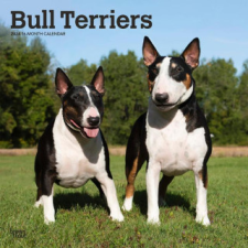 Bull Terriers 2024 Square naptár, kalendárium