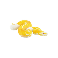  Bullyland 68485 Királypiton albínó kígyó játékfigura