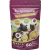 Burgimmune Forte immunerősítő tabletta 60 db
