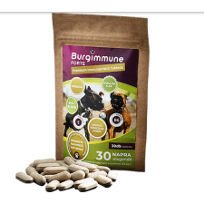  Burgimmune FORTE Prémium Immunerősítő Tabletta - 30 db RAKTÁRON vitamin, táplálékkiegészítő kutyáknak