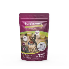  Burgimmune Prémium Immunerősítő Kombináció (1 havi adag) 45g vitamin, táplálékkiegészítő kutyáknak