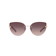 Bvlgari BV6172B 201467