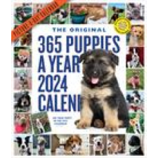 CAL 24 365 PUPPIES A YEAR PICTURE A DAY – WALL naptár, kalendárium