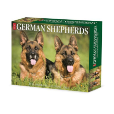  CAL 24 GERMAN SHEPHERDS – BOX naptár, kalendárium