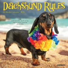 CAL 25 DACHSHUND RULES 2025 MINI WALL – MINI WALL naptár, kalendárium