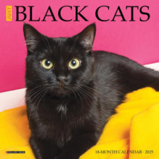 CAL 25 JUST BLACK CATS 2025 MINI WALL – MINI WALL naptár, kalendárium