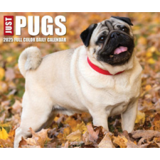  CAL 25 JUST PUGS 2025 BOX – BOX naptár, kalendárium