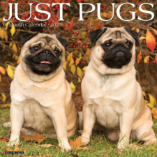 CAL 25 PUGS 2025 WALL – WALL naptár, kalendárium