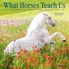 CAL 25 WHAT HORSES TEACH US 2025 MINI – MINI WALL naptár, kalendárium