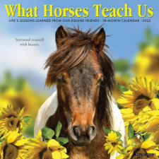  CAL 25 WHAT HORSES TEACH US 2025 WALL – WALL naptár, kalendárium