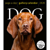  CAL 26 DOG GALLERY – BOX