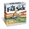  CAL 26 FAR SIDE OFF THE WALL DAY TO DAY – BOX
