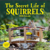  CAL 26 SECRET LIFE OF SQUIRRELS – WALL