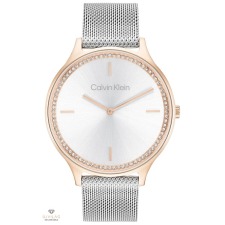 Calvin Klein Timeless női óra - CK25100006 karóra