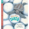 Candlewick Books One Tiny Turtle | Jane Chapman