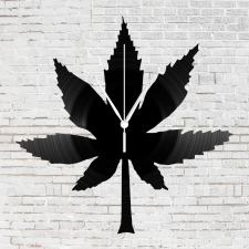Cannabis bakelit falióra, Cannabis bakelit falióra falióra