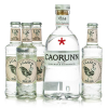  Caorunn gin + 4 db J.Gasco Indian Tonic (0,7L / 41,8% + 4X0,2L)