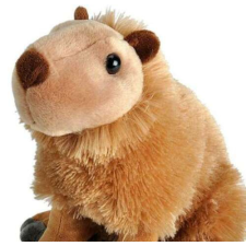 Capybara - Plus vad köztársasági játék 30 cm plüssfigura