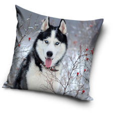 Carbotex Kutyás párna, díszpárna 40x40 cm husky lakástextília