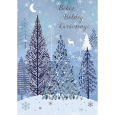 Cardex Európa Kft. Cardex Üdvözlőlap E árkód Karácsony 49KAR150 (WEB) képeslap