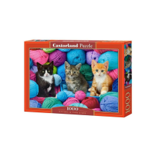 Castorland 1000 db-os puzzle - Cicák a fonalak között (C-104796) puzzle, kirakós