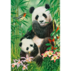 Castorland 1000 db-os Puzzle - Panda Brunch (C-104987) (GXP-868212)